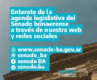 Senado