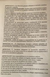 La gente salió a caminar y los perros a morder: no se podrá tener más de dos por casa