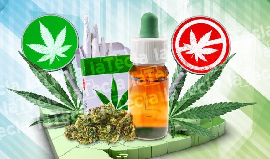 Cannabis: mientras el Congreso avanza, el debate sigue verde en la Provincia