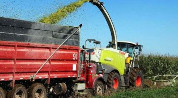 Se agudiza el faltante de combustible y los sectores del campo advierten consecuencias
