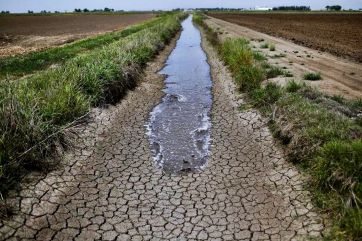 Emergencia agropecuaria