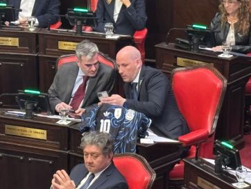 De Atlanta a La Plata, la Scaloneta estuvo presente en el Senado